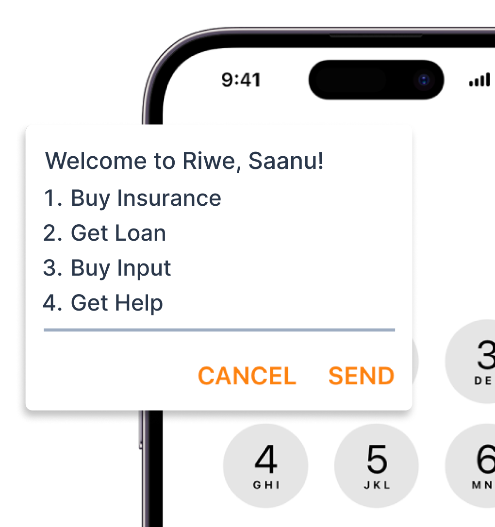 Riwe USSD flow on mobile phone